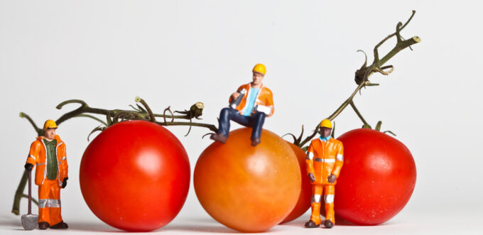 Top 30 Japanese employers in Italy 2021