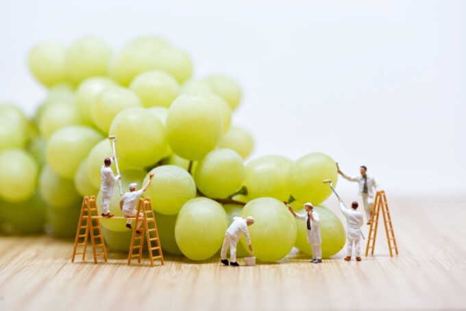 Agritech – Japan and UK