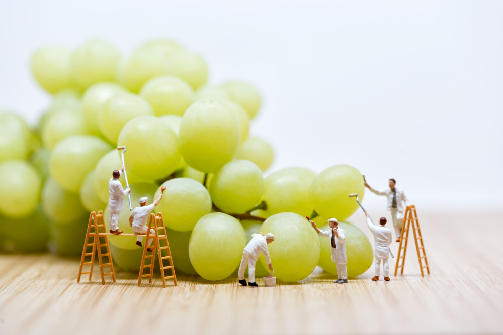 Agritech – Japan and UK