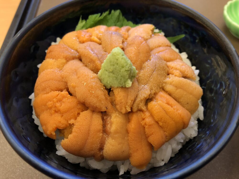 Japanese shipping company NYK to invest in British-Irish sea urchin farming and biodiversity venture